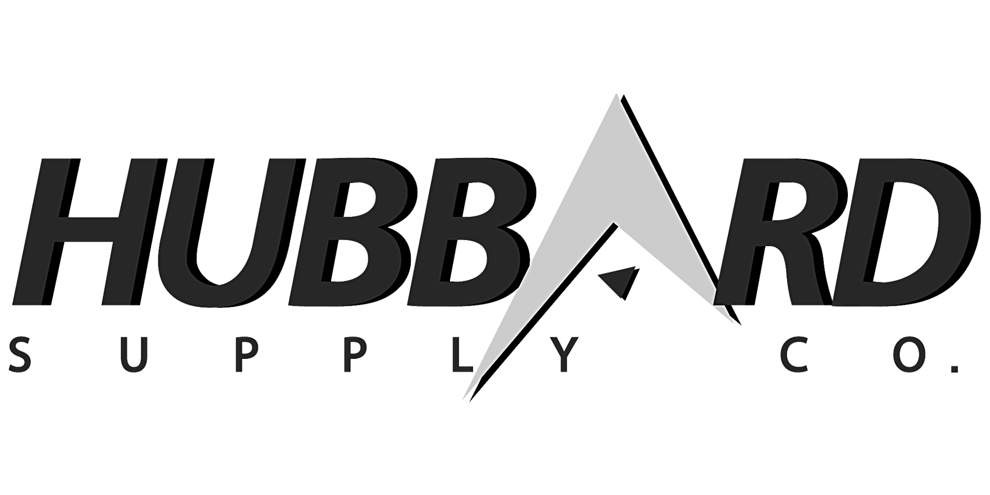 logo 13